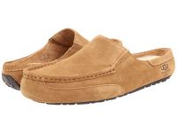 UK UGG Scuff Slippers for Men - Alamar - Chestnut Suede On Sale